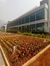 Amway - Dindugul